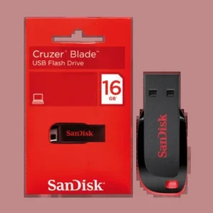 FLASH DISQUE SANDISK 16 GO BLADE