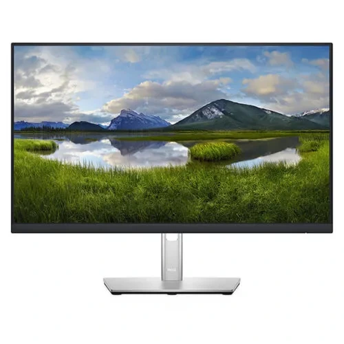 Moniteur Dell P2422H 24 Pouces IPS Full HD 60Hz Écran Professionnel Ergonomique HDMI DisplayPort USB