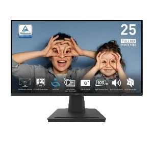 MONITOR MSI MP252L 25P IPS FHD 100HZ