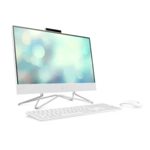 PC All in One DF0006NK i3 1005G1 21.5 Pouce4GB 1TB