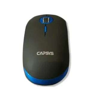 SOURIS SANS FIL CAPSYS W660