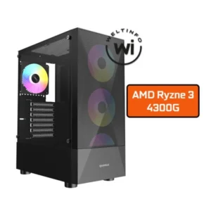 WELT PC RYZEN 3 4300G