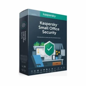 ANTIVIRUS KASPERSKY 10 POSTES