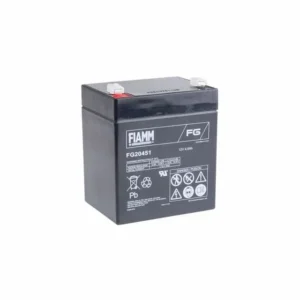 BATTERIE ONDULEUR 12V 5A