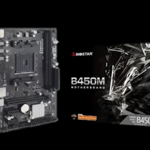 CARTE MERE BIOSTAR B450 MHP