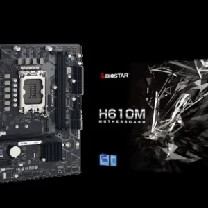 CARTE MERE BIOSTAR H610