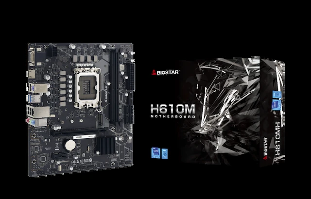 CARTE MERE BIOSTAR H610