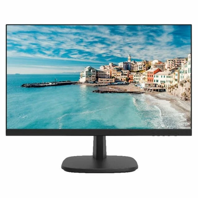 ECRAN HIKVISION 22"