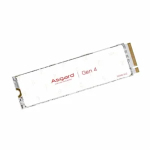 M.2 ASGARD 1TO NMVME 4.0