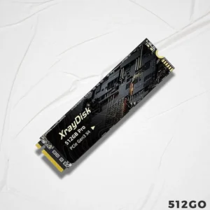 M.2 XRAYDISK 512 Go NVME