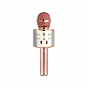 MICROPHONE 858 AVEC HAUT PARLEUR