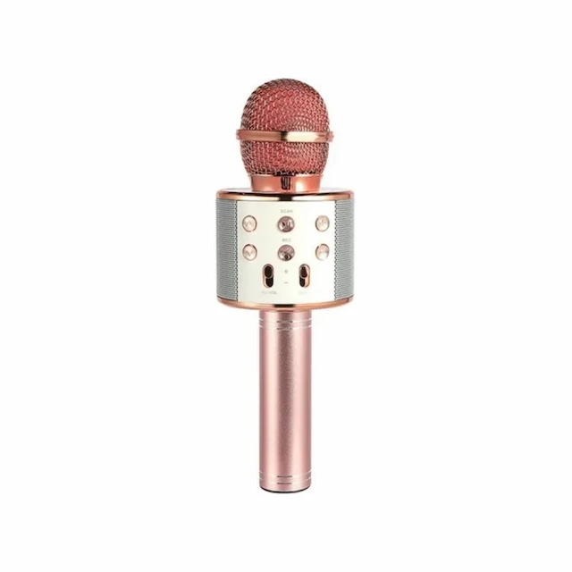 MICROPHONE 858 AVEC HAUT PARLEUR