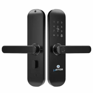 SERRURE INTELLIGENTE MATOS MSDL01