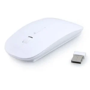 SOURIS SANS FIL EVENUS EV01
