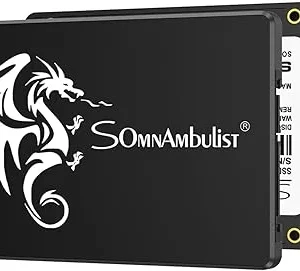 SSD SOMNAMBULIST 120GB
